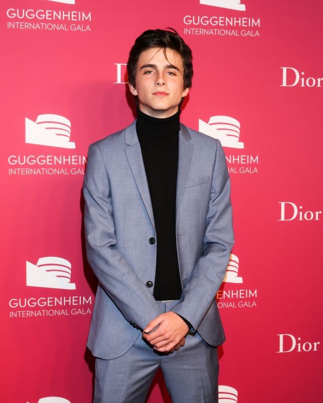Timothée Chalamet attends GQ and Dior Homme private dinner in